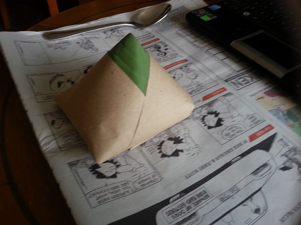 nasi-lemak-hawker-wrapped